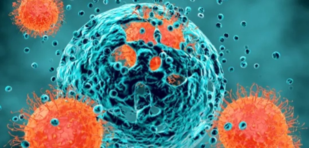 Adarsh Maharashtra | मालाड परिसरात कोरोना पाॅझिटीव्ह रुग्ण संख्येत वाढ