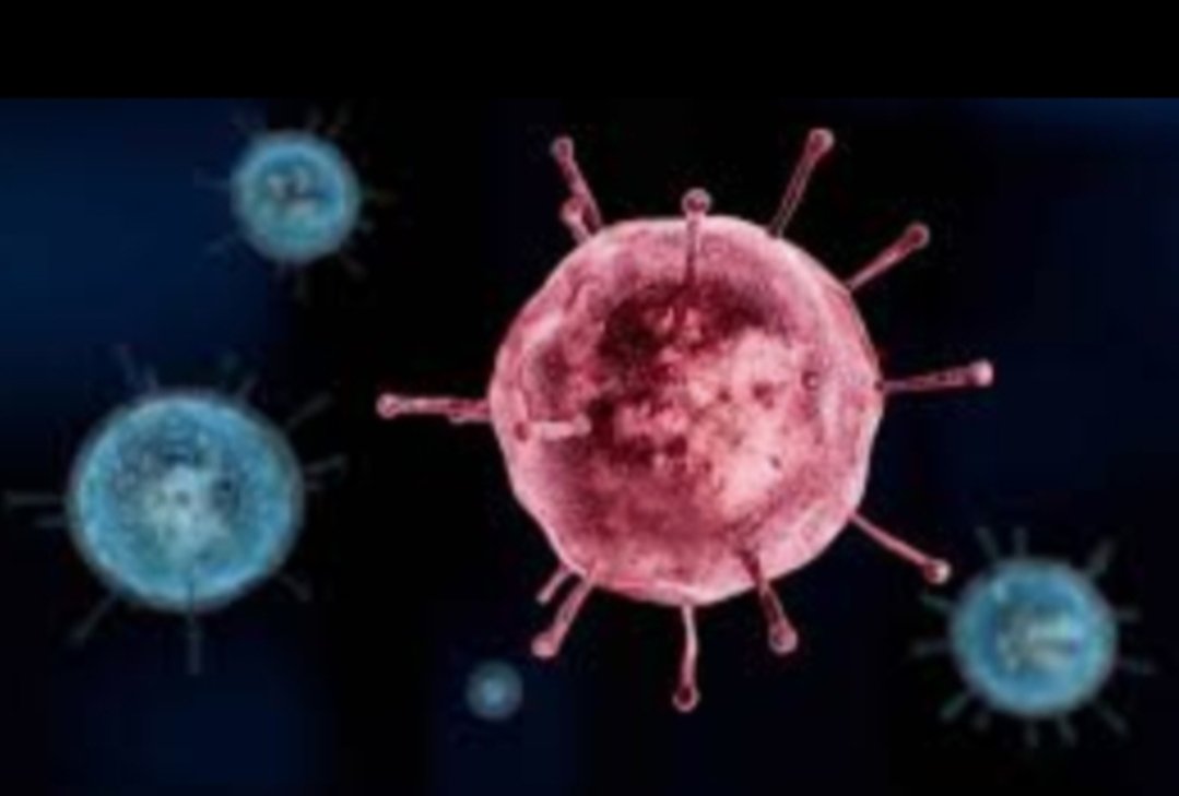 Adarsh Maharashtra | मुंबईत कोरोना पॉझिटिव्ह रुग्णांचा आकडा घटला!