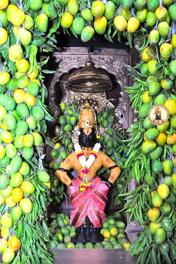 Adarsh Maharashtra | आमराईत नटली विठू-रखुमाई