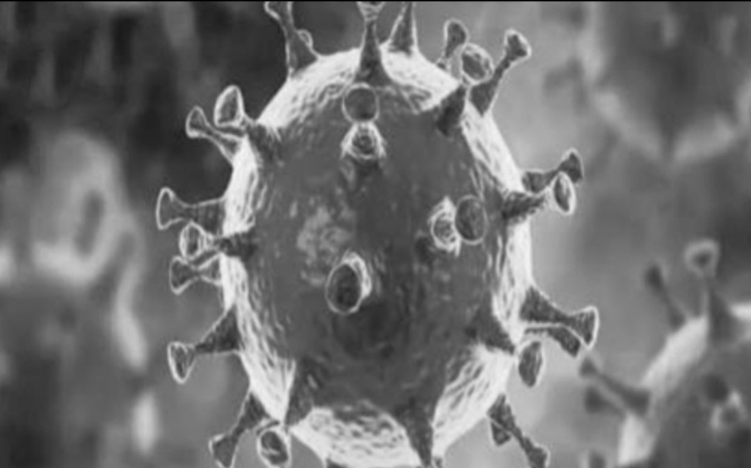 Adarsh Maharashtra | धक्कादायक;एक्टिव्ह कोरोना रुग्ण संख्येत ठाणे जिल्ह्याने मुंबईला मागे...