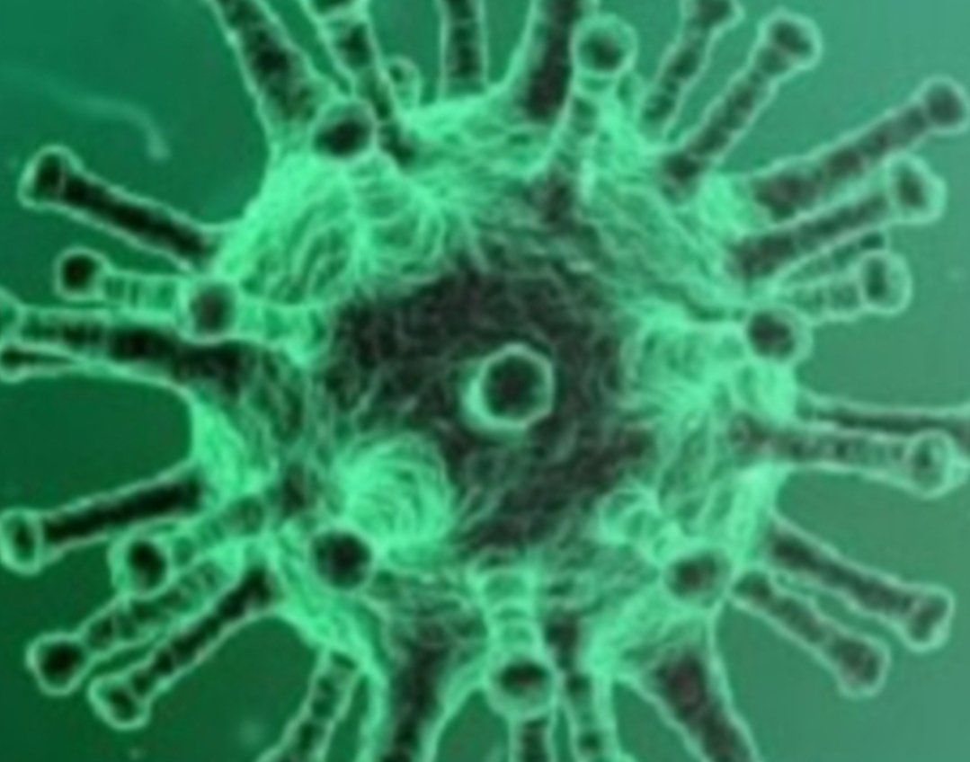 Adarsh Maharashtra | सोलापुरात कोरोनाची व्याप्ती...