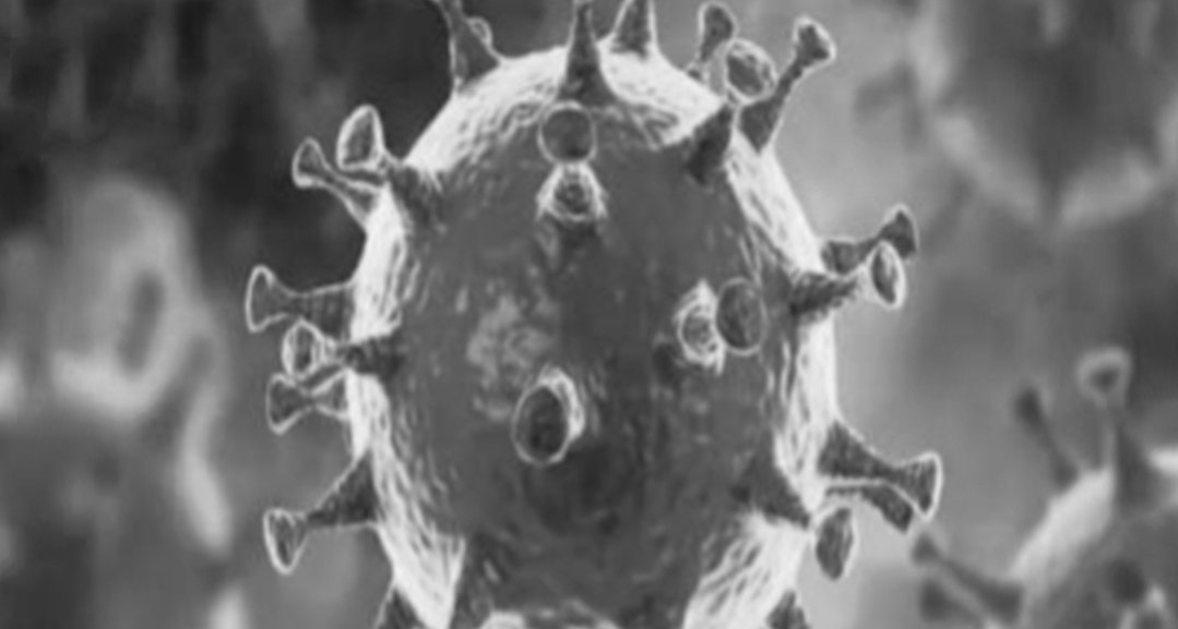 Adarsh Maharashtra | आज एकाच दिवशी साडेपाच हजार रुग्ण बरे होऊन घरी, कोरोनाचा उपचार सुरू असलेल्या...