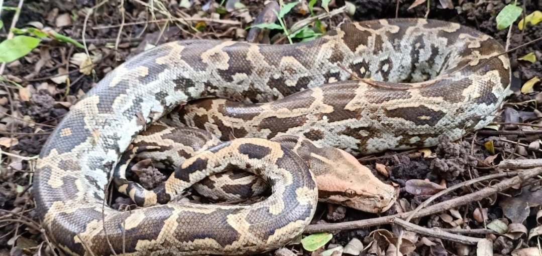 Adarsh Maharashtra | मुलुंड, भांडुप विभागातून दोन...