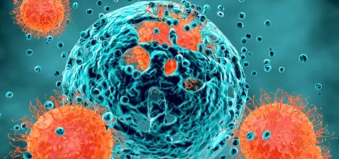 Adarsh Maharashtra | उल्हासनगर महापालिकेच्या दुर्लक्षपणा मुळे वाढत आहेत कोरोना रुग्ण-आयुक्त...