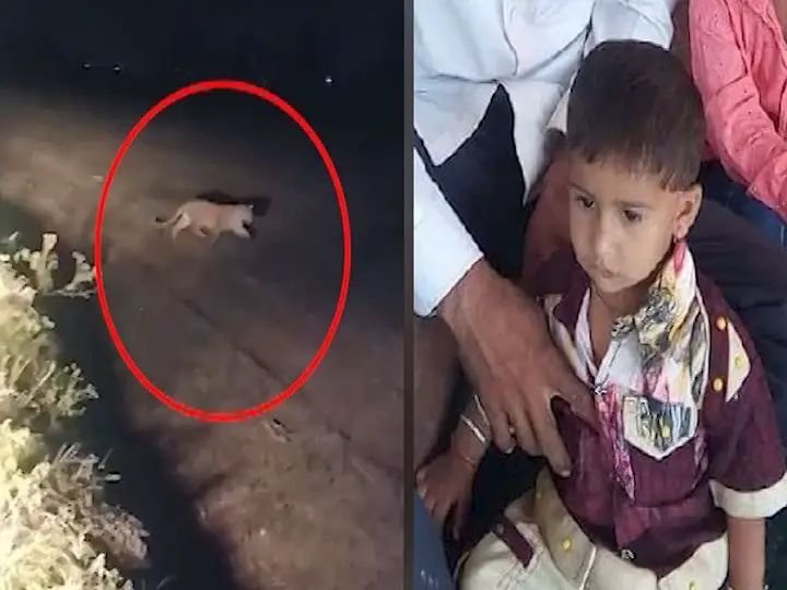 Adarsh Maharashtra | नगरमध्ये बिबट्याने आईच्या...