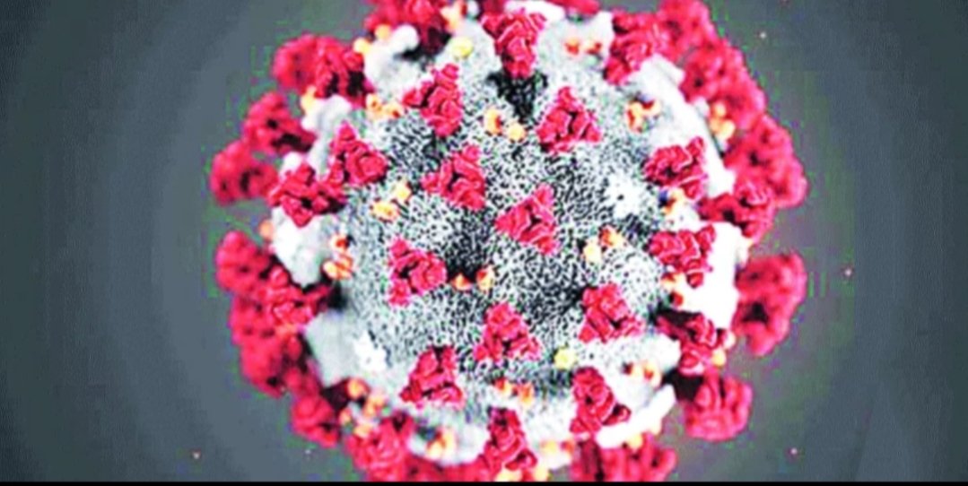 Adarsh Maharashtra | उल्हासनगरात कोरोना बाधिताआकडा पोहचला ८१  वर कोरोनाचा चौथा बळी .