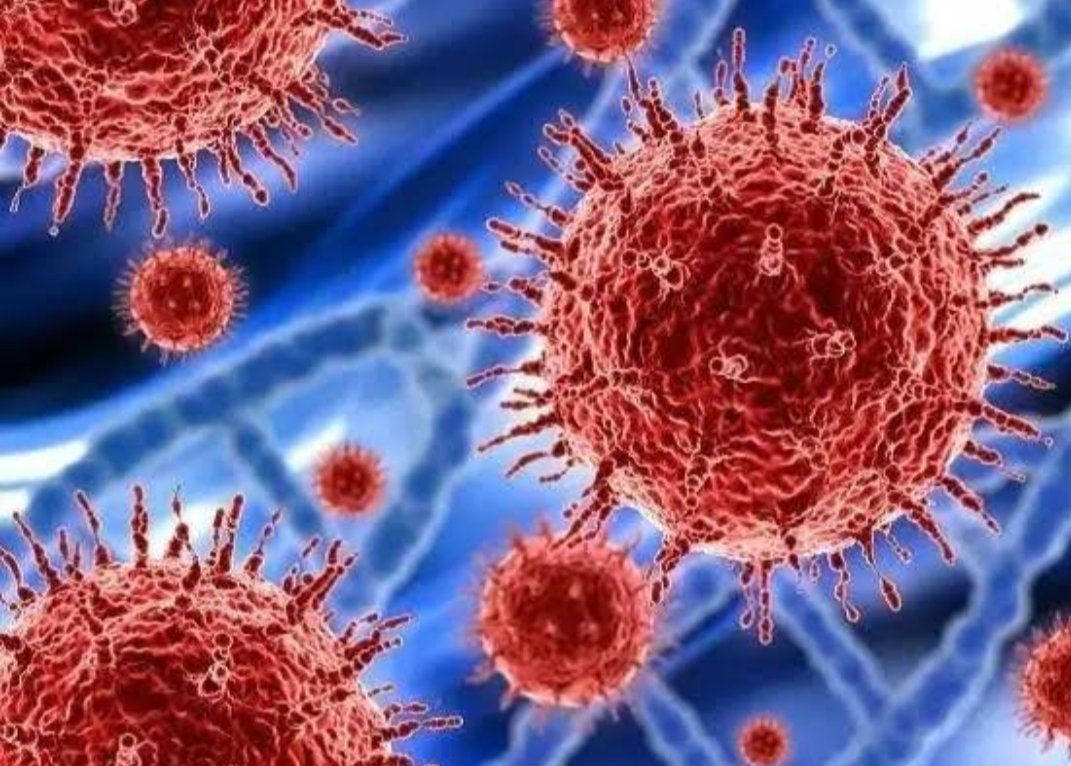 Adarsh Maharashtra | आणखी २२ रुग्ण कोरोना पाॅझीटीव्ह; कोरोना पाॅझीटीव्ह रूग्णांची संख्या १०८:...