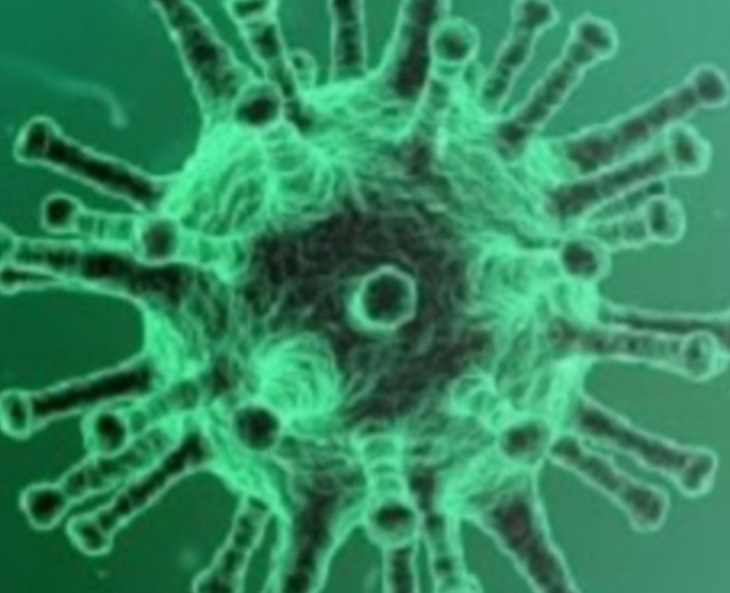 Adarsh Maharashtra | चेंबूर येथील पी.एल लोखंडे मार्गावरील नागेवाडी  झोपडपट्टीतील 60 वर्षीय...