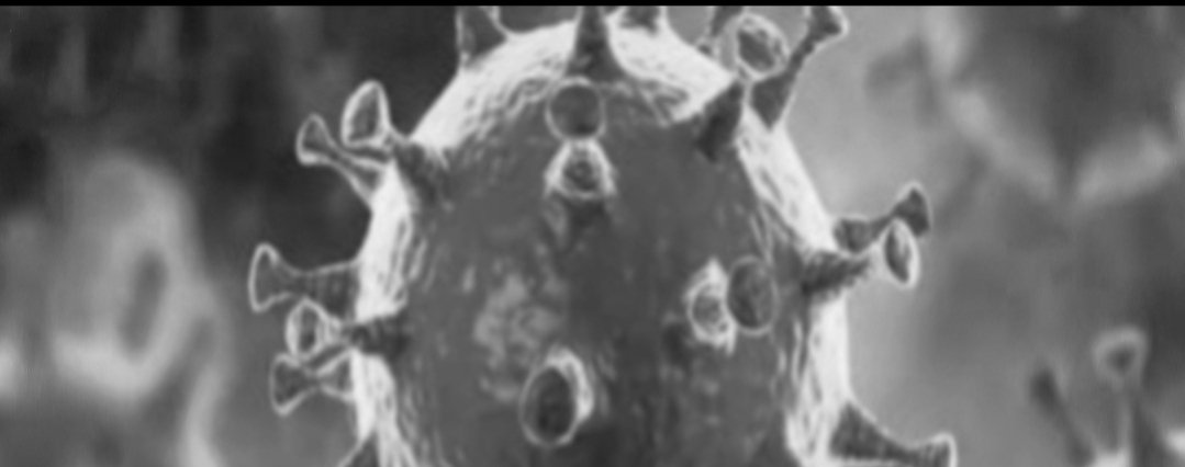 Adarsh Maharashtra | आज राज्यात तब्बल १४ हजार २१९...