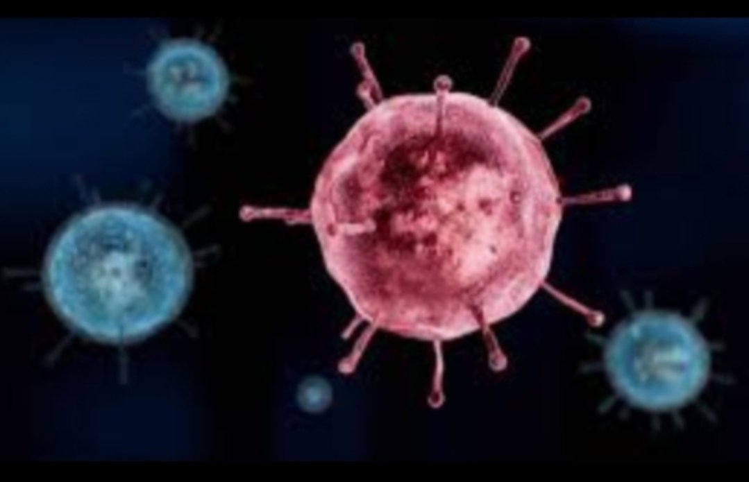 Adarsh Maharashtra | मुंबईत कोरोनाबाधितांच्या संख्येत सलग तिसऱ्यांदा घट