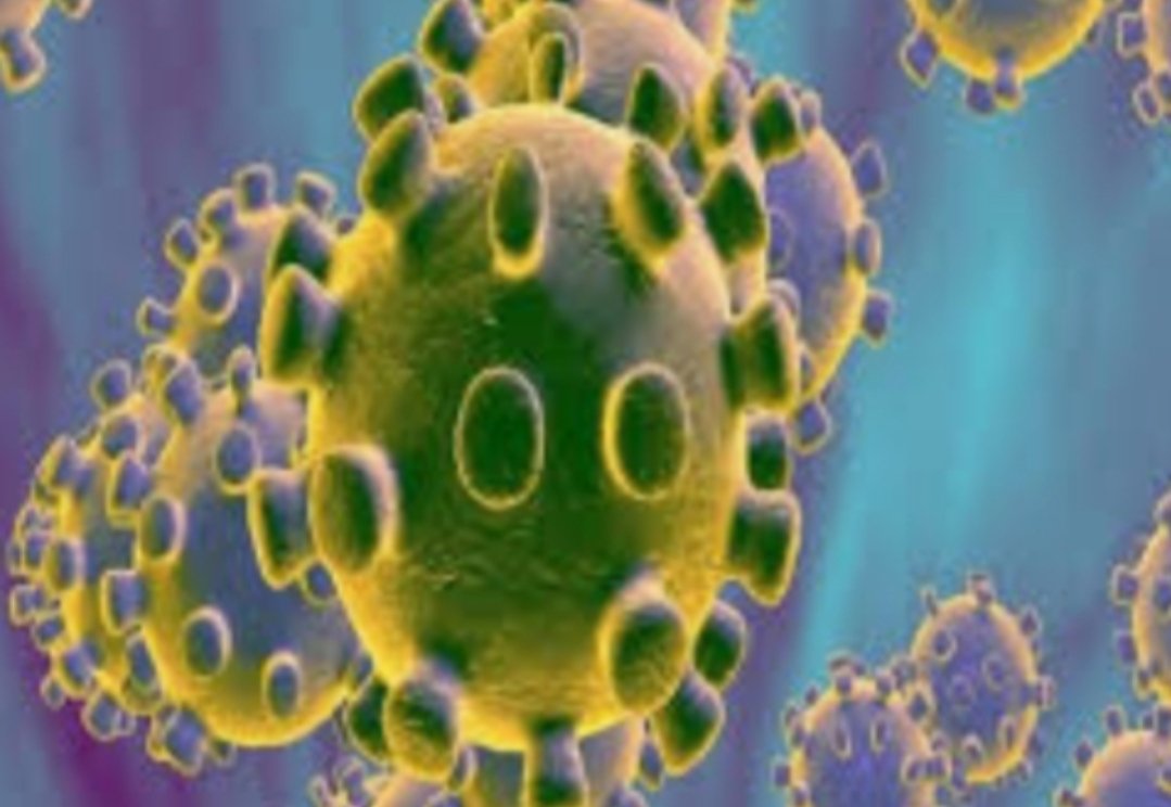 Adarsh Maharashtra | मालेगाव ३०० च्या उंबरठ्यावर ;...