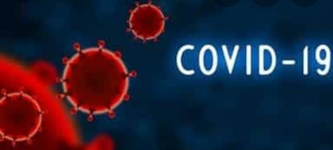 Adarsh Maharashtra | मुंबईत ७६२ जण कोरोनामुक्त...