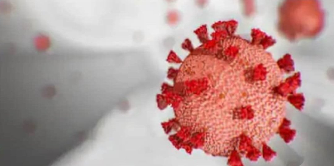 Adarsh Maharashtra | खारदेवनगर पालिका वसाहतीत आढळला कोरोना बाधित रुग्ण! लक्षणे नसताना रिपोर्ट...