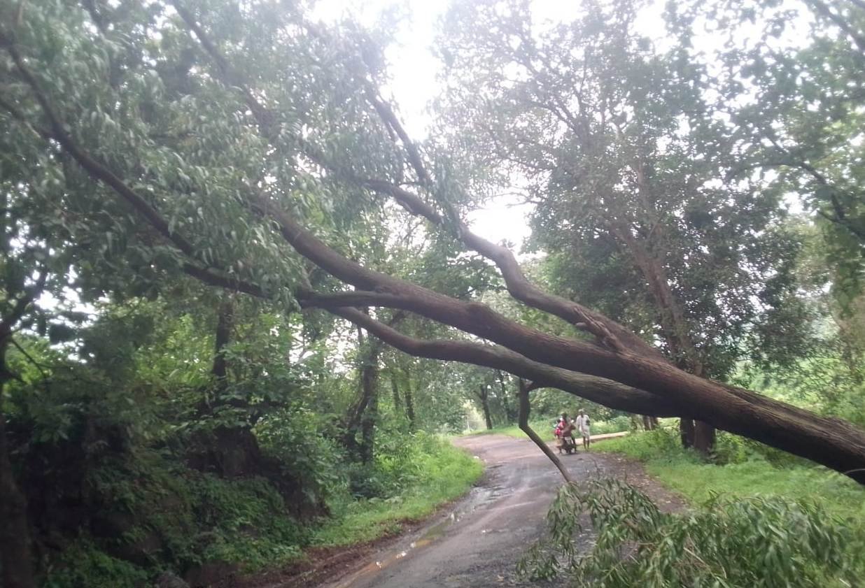 Adarsh Maharashtra | डोळखाबं -  साकडबाव रस्त्यावर...