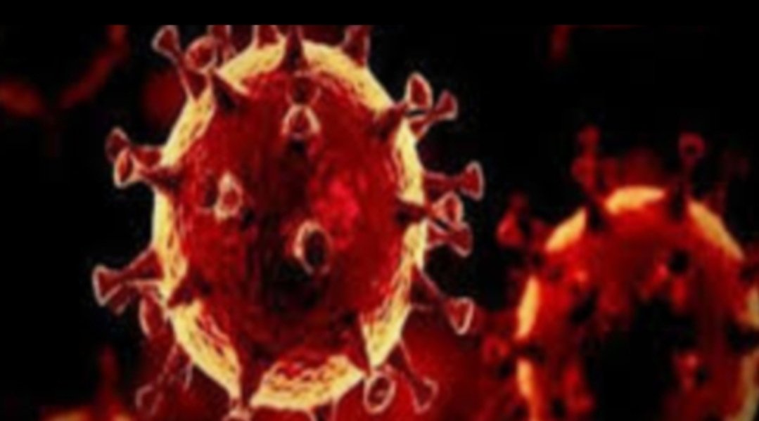 Adarsh Maharashtra | आज राज्यात ११ हजार ११९ नव्या कोरोना रुग्णांची नोंद  ४२२ रुग्णांचा मृत्यू