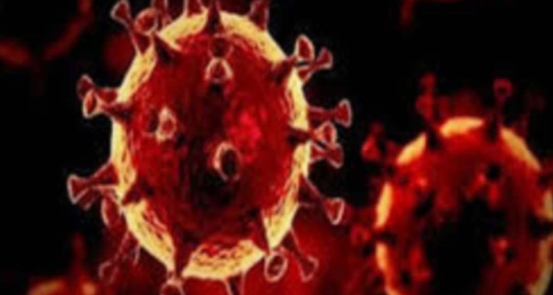 Adarsh Maharashtra | परत मातोश्रीत सुरक्षारक्षक कोरोना पॉझिटिव्ह