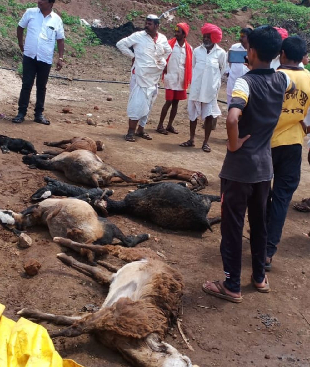 Adarsh Maharashtra | राशिवडे मध्ये बिबट्याच्या...