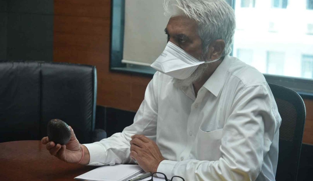 Adarsh Maharashtra | महाराष्ट्रात अव्होकाडो फळ लागवडीस चालना देणार- कृषीमंत्री दादाजी भुसे