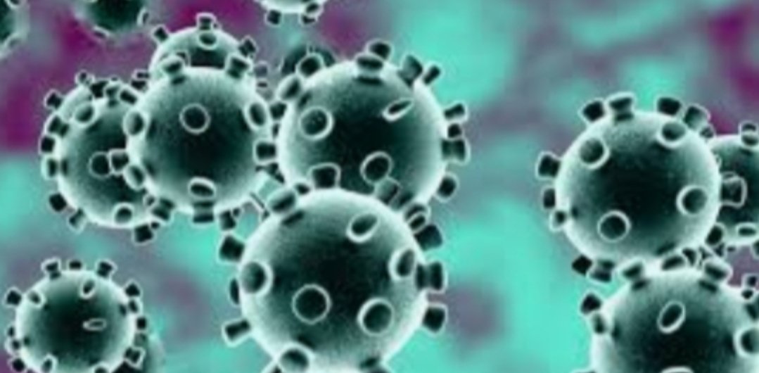 Adarsh Maharashtra | गरोदर महिलेला कोरोनाची लागण