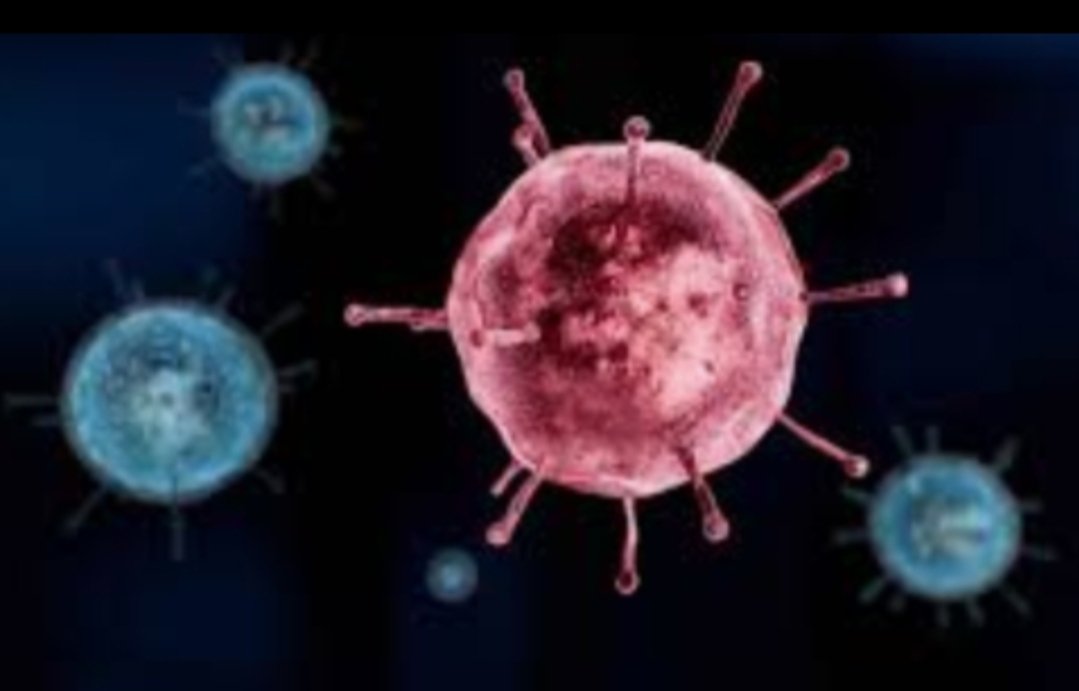 Adarsh Maharashtra | सोलापुरात कोरोनामुळे बळी...