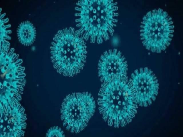 Adarsh Maharashtra | शहापूर मध्ये आजही कोरोनाचा...