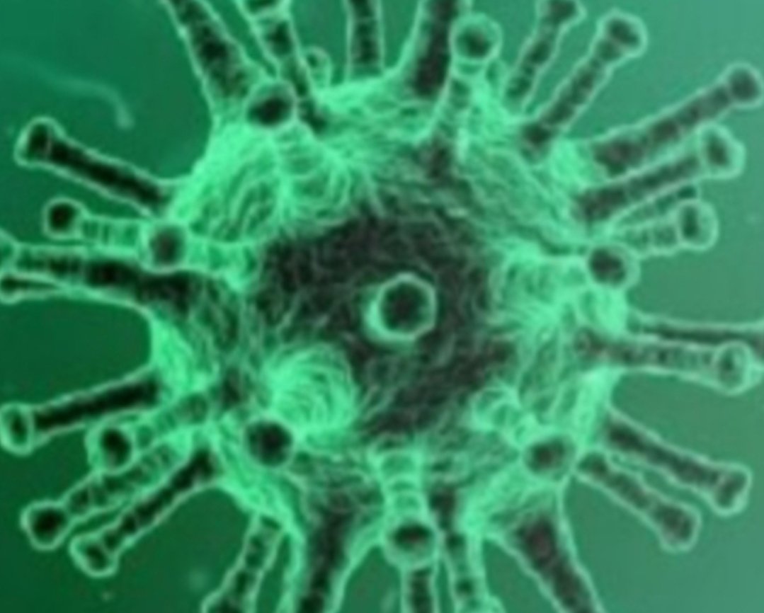 Adarsh Maharashtra | बदलापुरात कोरोनाचे दोन नवे रुग्ण