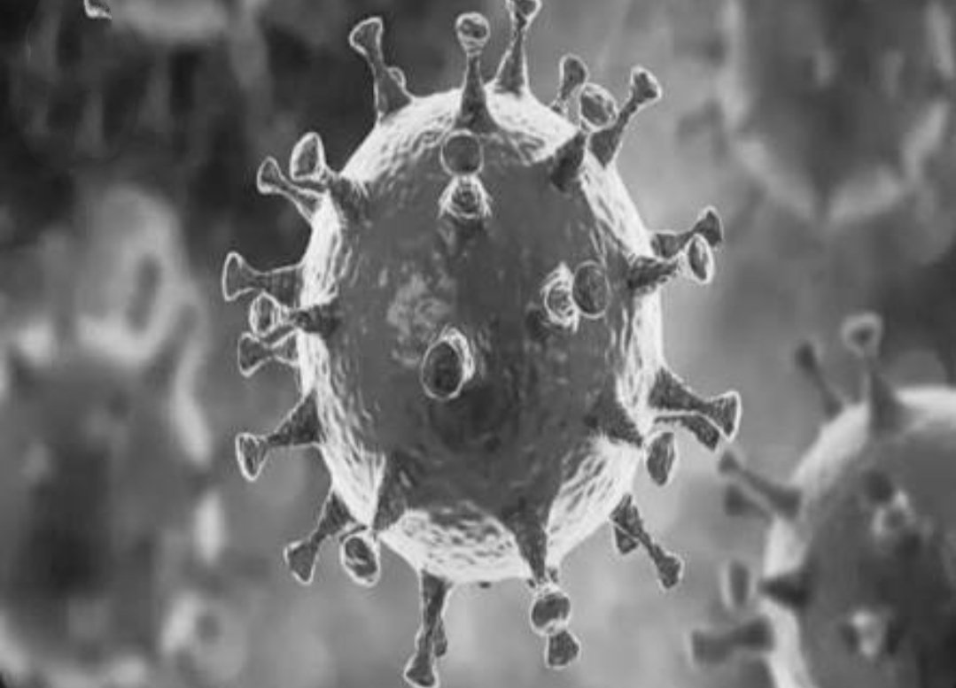 Adarsh Maharashtra | देशात कोरोना रुग्णांच्या आकडा झपाट्याने वाढतोय; भारताने इराणला मागे टाकलं