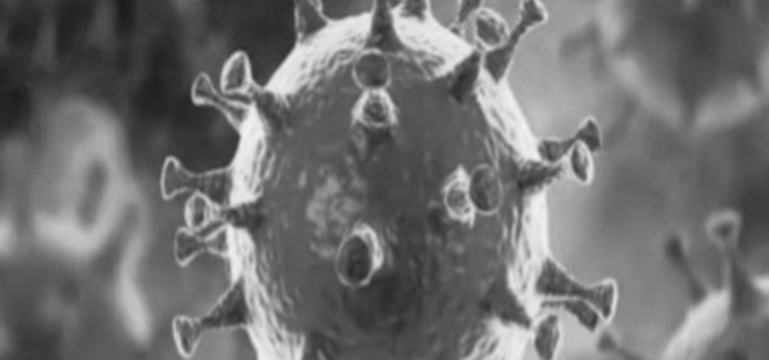 Adarsh Maharashtra | मागील २४ तासात ७ हजार ७१७ कोरोना रुग्णांची नोंद, तर २८२ रुग्णांचा मृत्यू