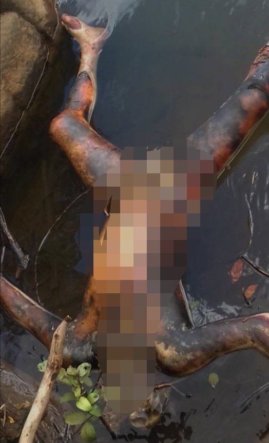 Adarsh Maharashtra | डोळखांब मध्ये कातकरी युवकाचा...