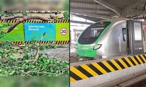 Adarsh Maharashtra | मेट्रोच्या कामासाठी १५९ झाडे...