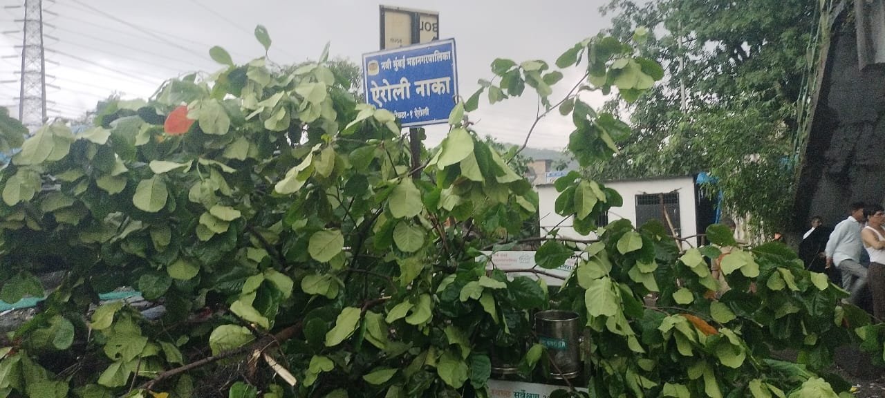 Adarsh Maharashtra | विजेच्या कडकडाटासह नवी...