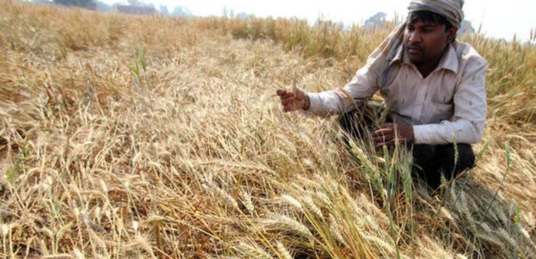 Adarsh Maharashtra | आमचा बळीराजा दुष्काळाने...