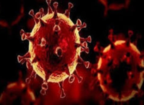 Adarsh Maharashtra | धक्कादाक बातमी ;खाजगी रुग्णालयाच्या हलगर्जीपणाचा कळस रिपोर्ट; एकाचे उपचार...