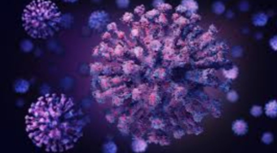 Adarsh Maharashtra | कोरोनाचे देशात 187 दिवसातील सर्वात कमी 16,500 रुग्णांची नोंद