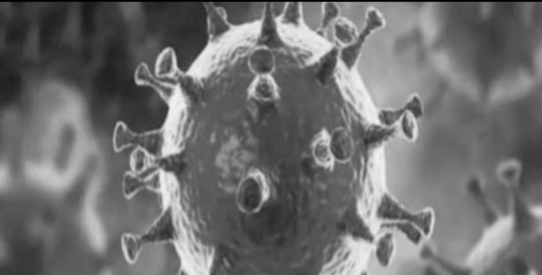 Adarsh Maharashtra | बापरे !आज ९५१८ नवे कोरोना रुग्ण,२५८ रुग्णांचा मृत्यू