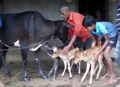 Adarsh Maharashtra | चमत्कार: कुडुक गावातील शेतकरी...