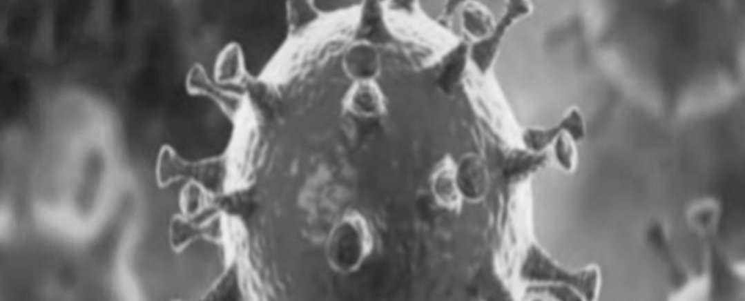 Adarsh Maharashtra | राज्यात गेल्या २४ तासात १४ हजार ४९२ नवे कोरोना पॉझिटिव्ह रुग्ण तर ३२६...