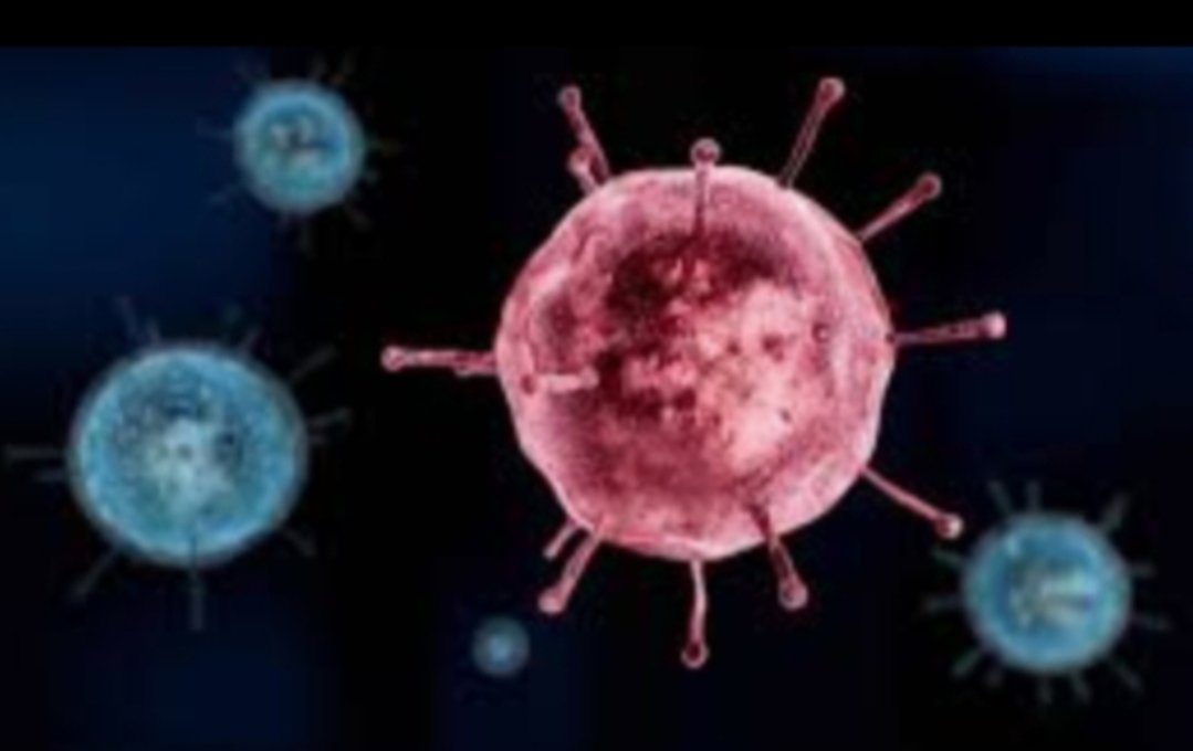 Adarsh Maharashtra | मुंबईतील महापालिका विभागनुसार कोरोना विषाणू बाधिताची वाॅर्ड निहाय...